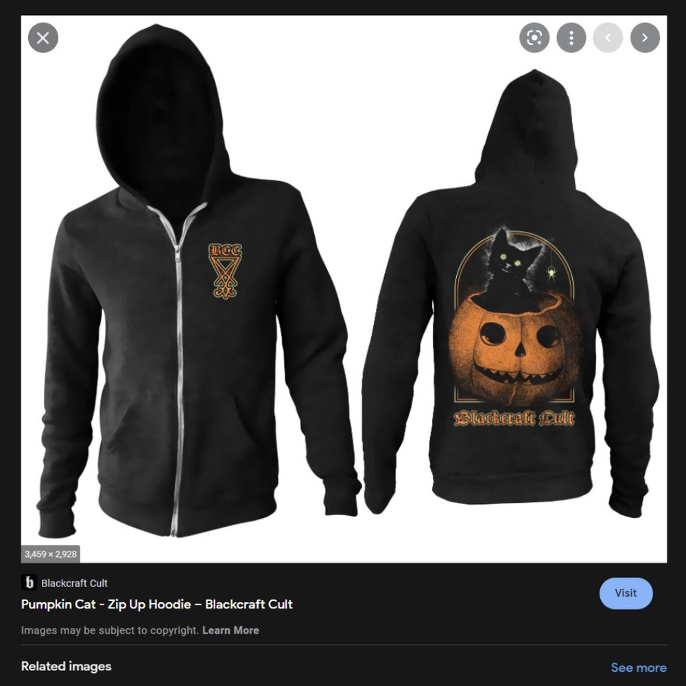 IN SEARCH OF Pumpkin Cat Hoodie!